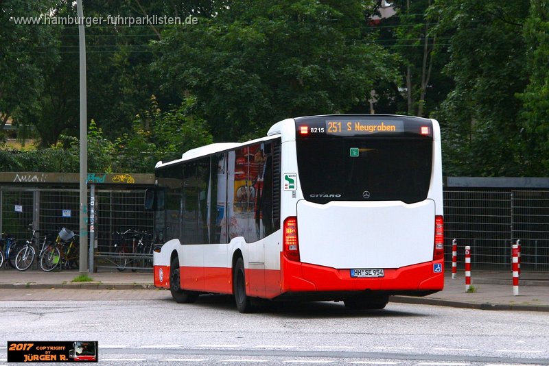 25) 8215-13,SBG,JN.jpg